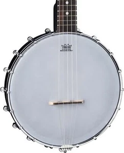 Deering Artisan Goodtime Two 5-String Resonator Banjo - Picture 1 of 4
