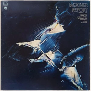 Wetterbericht - Wetterbericht BESCHREIBUNG LESEN (LP, Album, Grube) (fast neuwertig (NM - Bild 1 von 5