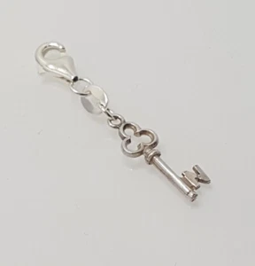 Gorgeous Sparkling Solid English Letter "N" Key Clip-on Charm 925 Unique #21418 - Picture 1 of 19