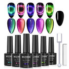 Cat Eye Gel Nail Polish Gel 10ml Soak Off UV LED Stick 6PCS Gel Nail Polish Set