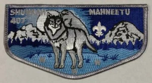 Shunkah Mahnteetu Lodge 407 1994 Brotherhood Flap Mint Condition FREE SHIPPING - Picture 1 of 1