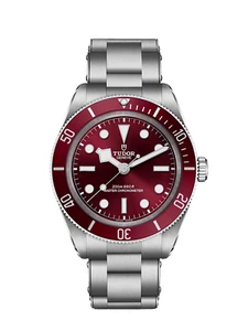 Tudor Black Bay 58 Burgundy Dial Stainless Steel Watch M7939A1A0RU-0002 - Picture 1 of 6