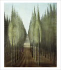Spilliaert Fire Path Forest Trees Fine Art Giclee Print Wall Art With Border