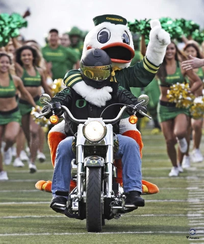 Oregon Ducks Unsigned The Oregon Duck Riding Motorcycle Photograph Cover