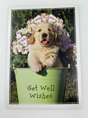 Get Well Greeting Card Puppy Dog in Pail Lisa & Mike Hasar Team Photo - Image 1 of 4