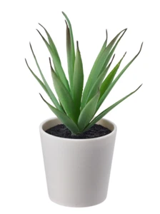 IKEA FEJKA Künstliche Topfpflanze mit Topf, In/Outdoor Sukkulente, 6 cm, 2 23/64" - Bild 1 von 5