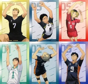 Haikyu Feria de Invierno 2025 Animado Bonus Personaje Juego de Cartas 6 Piezas Kageyama Oikawa - Imagen 1 de 1