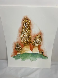 Original Watercolor Mushroom Painting | 14x11" no frame include - Picture 1 of 8