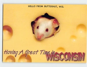 Ratón postal pasándolo en grande en Wisconsin EE. UU. - Imagen 1 de 2