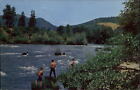 Rogue River Above Gold Hill Oregon ~ Fishing Trout Steelhead Salmon ~ Postcard