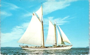 Gloucester Schooner Adventure, Captain Jim Sharp, Camden, Maine Postcard - Picture 1 of 2