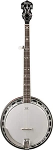 Washburn Americana Series B16K-D 5 String Banjo Sunburst - Picture 1 of 6