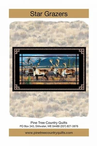 Star Grazers Quilt Pattern by Pine Tree Country Quilts 50.5" X 30.5" - Picture 1 of 2