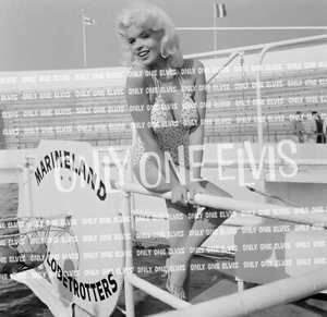 SEXY Pin-Up JAYNE MANSFIELD 12x12 (FOTO) IMPRESIÓN MAESTRA 009 - Imagen 1 de 1