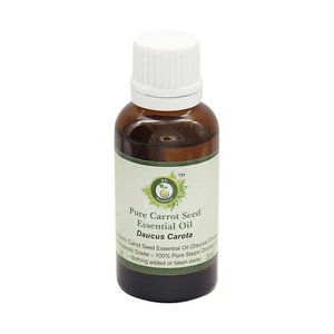 R V Essential Pure Carrot Seed Essential Oil Daucus Carota Natural For Cough - Picture 1 of 30
