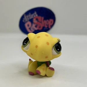 TURTLE #618 - Authentic Littlest Pet Shop - Hasbro LPS - Picture 1 of 4