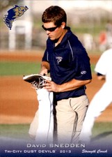 2013 Tri-City Dust Devils Grandstand #26 David Snedden Homewood Illinois IL Card