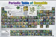 PERIODIC TABLE OF CANNABIS POSTER - 24x36 WEED POT MARIJUANA CHART LIST 241349