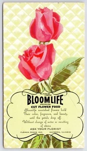 Maywood Illinois~Pink Roses Bloom Life Cut Flower Food~Blotter - Picture 1 of 2