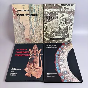 BIOLOGISCHES BUCH X4 ATLAS WIRBELLOSE PFLANZE SEHNENSTRUKTUR ARMBAND MEILEN - Bild 1 von 24