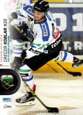 2015-16 Erste Bank Eishockey Liga EBEL #173 Gregor Koblar