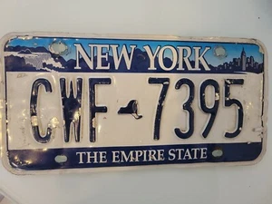 EXPIRED White & Blue New York The empire State License Plate CWF - Picture 1 of 5
