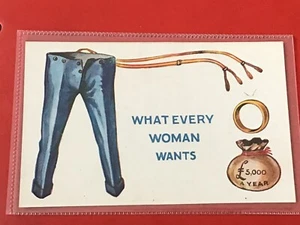 EARLY 1900s COMIC HUMOUR PC - WHAT EVERY WOMAN WANTS - Picture 1 of 1