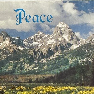 Peace 1979 Salesian Missions Illustrated Booklet - Picture 1 of 5