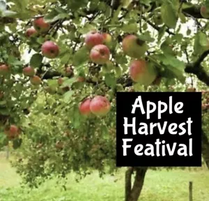 APPLE HARVEST FESTIVAL Cologne Perfume EDP Body Scrub Lotion Spray Fragrance Oil - Picture 1 of 11