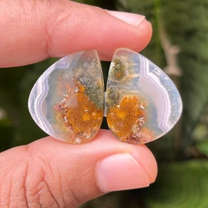 Par de cabujones de ágata musgo orbicular raro de 26,75 quilates - piedras preciosas naturales indonesias - Imagen 1 de 3
