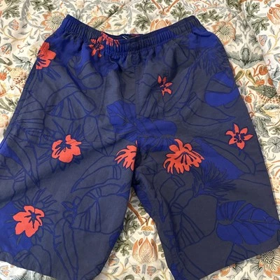 Pantalones Cortos Patagonia XXL Bolsos Forro 10” Entrepierna Azul Marino y Rojo Foto 1 de 4