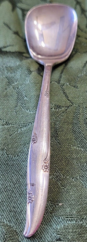 Foto 1 di 6