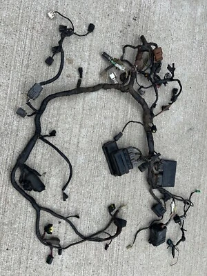 Kawasaki Ninja zx1000 zx10 zx10r 2006 arnés de cableado principal CDI encendido fusible relé Foto 1 de 4
