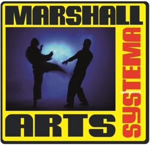 Systema Self-Defence DVD | Step-by-Step Russian Martial Arts Combat Training - Picture 1 of 7