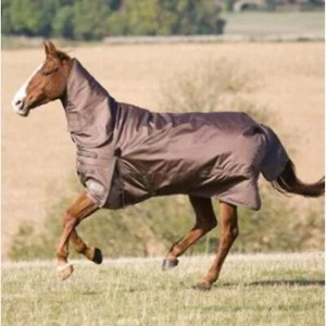 Shires Winter Typhoon 300g Combo Turnout Rug - Bronze - Picture 1 of 1