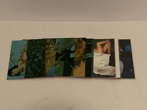 Ron Miller’s Firebrands Insert Sets P1-P6 + Winged Women Subset Cards 1-3 - Bild 1 von 19