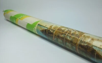 Vintage Nature-Themed Photo Wallpaper - Retro Wall Decor. - image 1 of 4