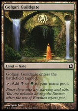 Magic the Gathering MTG Golgari Guildgate (239) Return to Ravnica   NM
