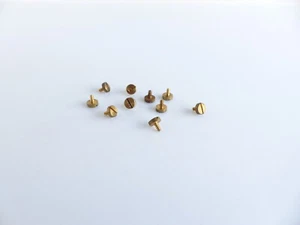 JOUEF CHAMPAGNOLE 10 VIS LAITON PLATES POUR ATTELAGE - Picture 1 of 1