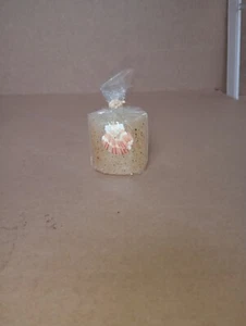 Pottery Barn Sand Candle Seashell Votive Ocean Beach Theme - Picture 1 of 3