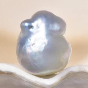 South Sea Pearl Bi-color Baroque 13.37 mm Maluku Indonesia 1.88 g undrilled - Picture 1 of 7