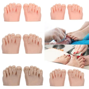 Praxis Fake Foot Modell Display Kunst Training halber Fuß beweglich mit Zehen - Bild 1 von 20