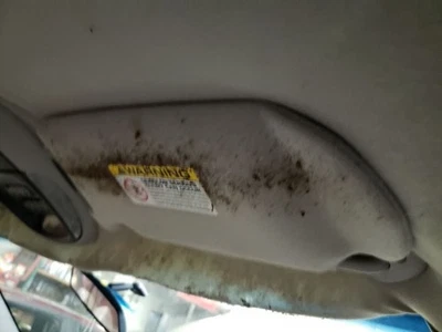 Passenger Right Sun Visor Without Illumination Fits 01-02 CARAVAN 940859 Foto 1 de 4