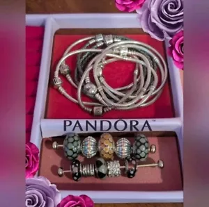 Authentic Pandora Bracelet & Charm Lot -20pc Bundle - Picture 1 of 10