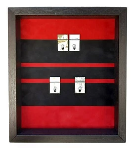 Estuche de exhibición grande de doble medalla regimiento RMP. Estuche negro - Imagen 1 de 6