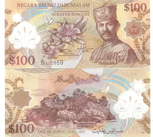 Brunei - 100 Ringgit 2013 UNC P. 29c Polymer Lemberg-Zp - Picture 1 of 1