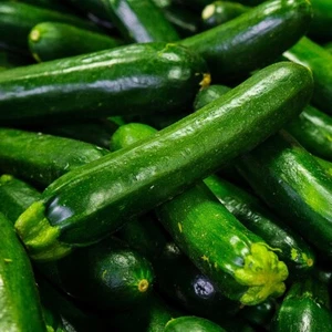 1/4 Lb Dark Green Zucchini Summer Squash Seeds - Everwilde Farms Mylar Packet - Picture 1 of 2