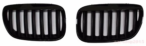 Front Kidney Grille Glossy Black For BMW E53 LCI SUV X5 2004-2006 M Style - Picture 1 of 1