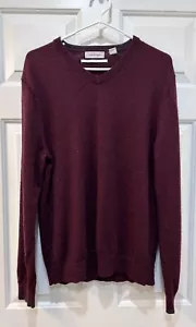 Calvin Klein 100% Wool Casual Sweater Men's Size L Holiday Preppy Lightweight - Picture 1 of 7
