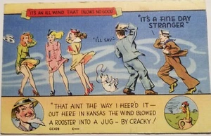 Original WW11 Era 1940's Comic Postcard MWM #GC428 Color-Lithio Aurora, MO USA - Picture 1 of 9